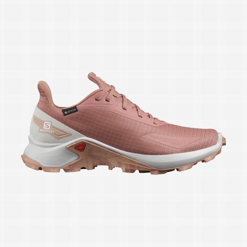 Salomon alphacross gtx w online