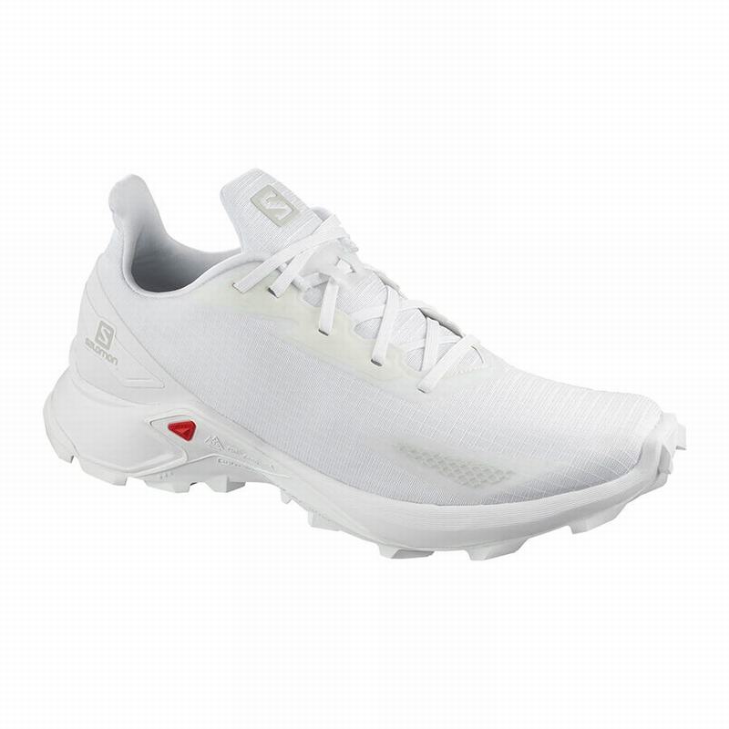 Zapatillas salomon alphacross online