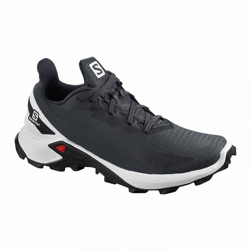 Alphacross gtx hotsell w salomon