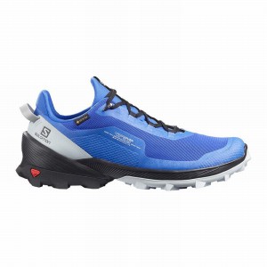 Salomon Cross Over Gore-Tex Hiking Shoes Blue/Black Men