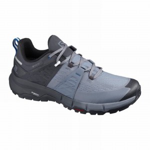 Salomon Odyssey Gtx Hiking Shoes Grey/Royal Men