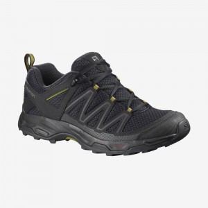 Salomon pathfinder low store