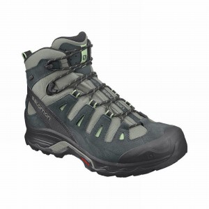 Salomon Quest Prime Gtx W Hiking Boots Grey/Green Women