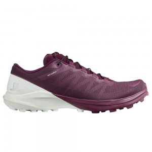 Salomon Sense Pro 4 W Road Running Shoes Purple Women