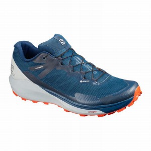 Salomon Sense Ride 3 Gtx Invis. Fit Trail Running Shoes Navy Men