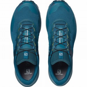 Salomon Sense Ride 3 Running Shoes Blue Men