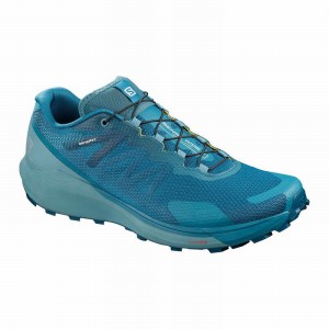 Salomon Sense Ride 3 Running Shoes Blue Men