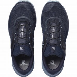 Salomon Sense Ride 3 W Running Shoes Navy/Grey Women