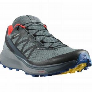 Salomon Sense Ride 4 Gore-Tex Invisible Fit Trail Running Shoes Dark Blue/Black Men