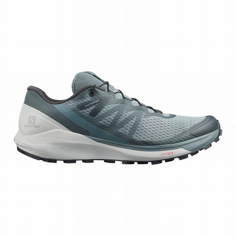 Salomon sense ride online