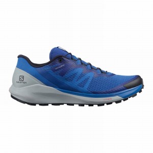 Salomon Sense Ride 4 Running Shoes Blue Men