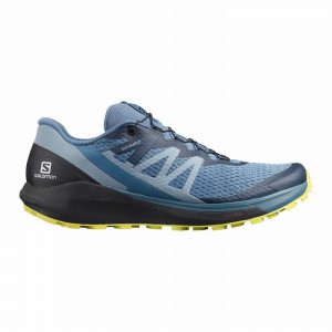 Salomon Sense Ride 4 Running Shoes Blue/Black Men