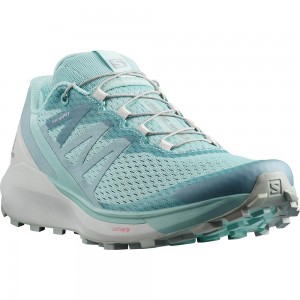 Salomon Sense Ride 4 W Road Running Shoes Blue Women