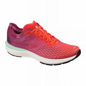 Salomon Sonic 3 Accelerate Running Shoes Pink/White Men