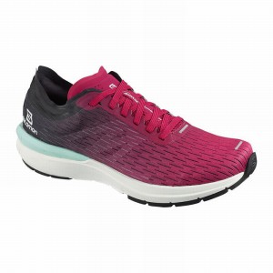 Salomon Sonic 3 Accelerate W Running Shoes Pink/White Women