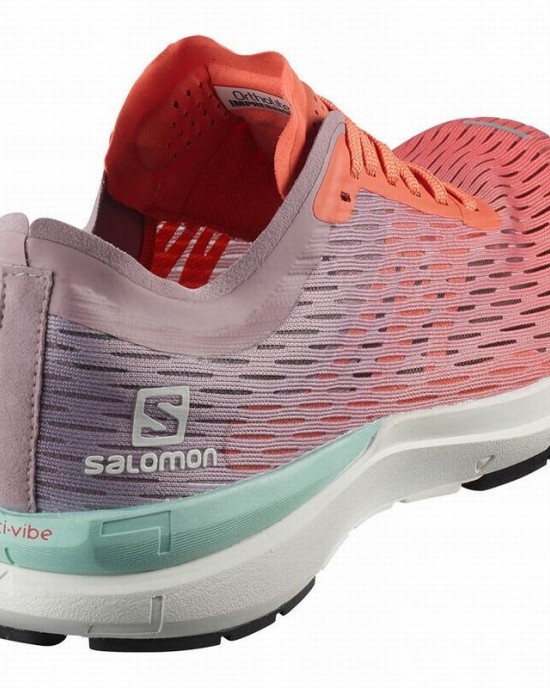Salomon Sonic 3 Accelerate W Running Shoes Brown/White Women