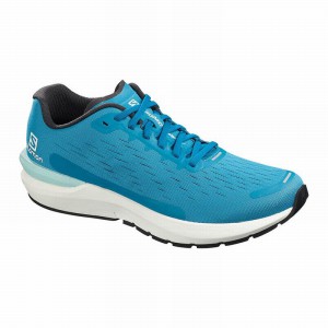 Salomon Sonic 3 Balance Running Shoes Blue Men