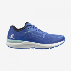 Salomon Sonic 4 Balance Road Running Shoes Blue Men