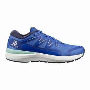 Salomon Sonic 4 Confidence Road Running Shoes Blue/White Men