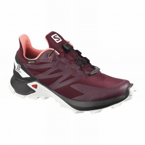 Salomon Supercross Blast Gtx W Trail Running Shoes Burgundy/Black Women