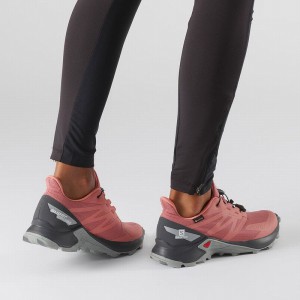 Salomon Supercross Blast Gtx W Trail Running Shoes Dark Red Women