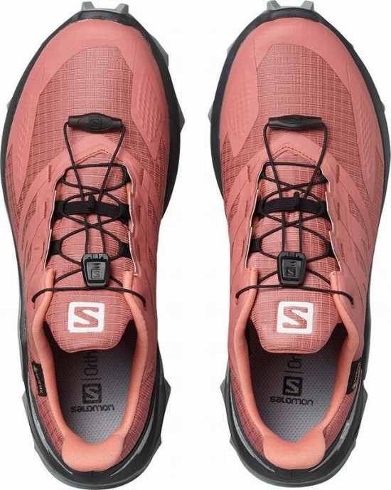 Salomon Supercross Blast Gtx W Trail Running Shoes Dark Red Women