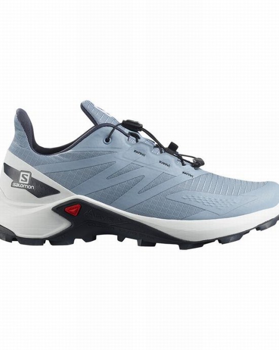 Salomon Supercross Blast W Trail Running Shoes Grey Blue/White Women