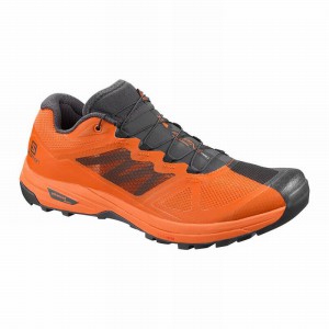 Salomon X Alpine/Pro Trail Running Shoes Dark Grey/Orange Men