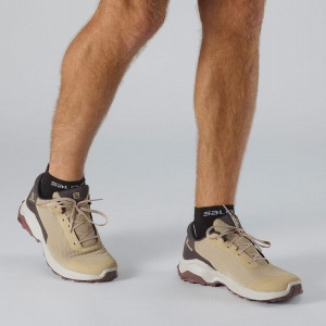 Salomon X Reveal Hiking Shoes Brown Men