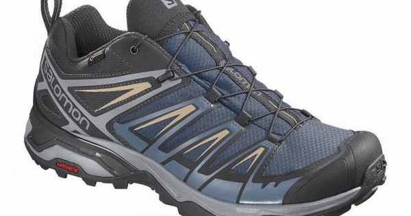 Salomon gore on sale tex ultra 3