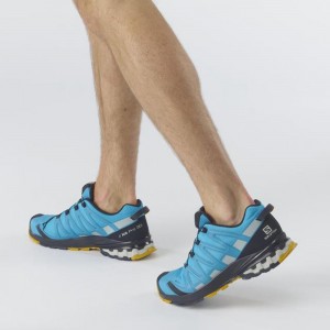 Salomon Xa Pro 3D V8 Gore-Tex Hiking Shoes Blue Men