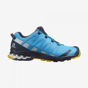 Salomon Xa Pro 3D V8 Gore-Tex Hiking Shoes Blue Men