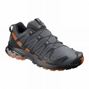 Salomon Xa Pro 3D V8 Gore-Tex Hiking Shoes Dark Blue/Black Men