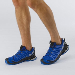 Salomon Xa Pro 3D V8 Gore-Tex Hiking Shoes Black/Blue Men