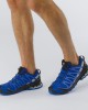Salomon Xa Pro 3D V8 Gore-Tex Hiking Shoes Black/Blue Men