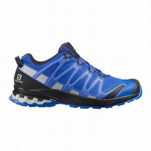 mekanisme ly bassin Salomon Xa Pro 3D V8 Gore-Tex Trail Running Shoes Blue Men