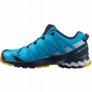 Salomon Xa Pro 3D V8 Gore-Tex Trail Running Shoes Blue Men