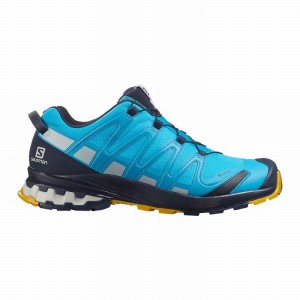 Salomon Xa Pro 3D V8 Gore-Tex Trail Running Shoes Blue Men