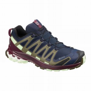 Salomon Xa Pro 3D V8 Gore-Tex Hiking Shoes Navy/Burgundy Women