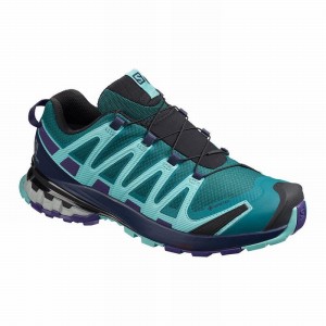 Salomon Xa Pro 3D V8 Gore-Tex Hiking Shoes Blue Women