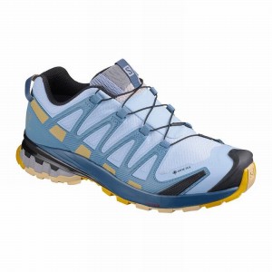 Salomon Xa Pro 3D V8 Gore-Tex Hiking Shoes Blue Women