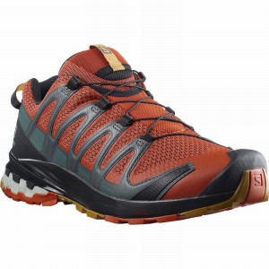 Salomon Xa Pro 3D V8 Trail Running Shoes Black Men