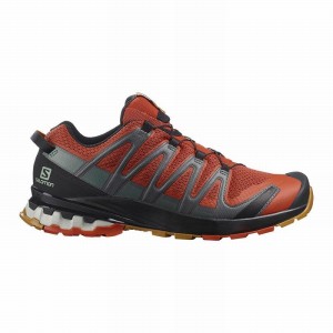 Salomon Xa Pro 3D V8 Trail Running Shoes Black Men