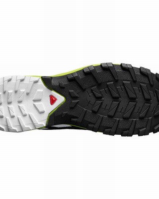 Salomon Xa Rogg Gtx Trail Running Shoes Pink Men