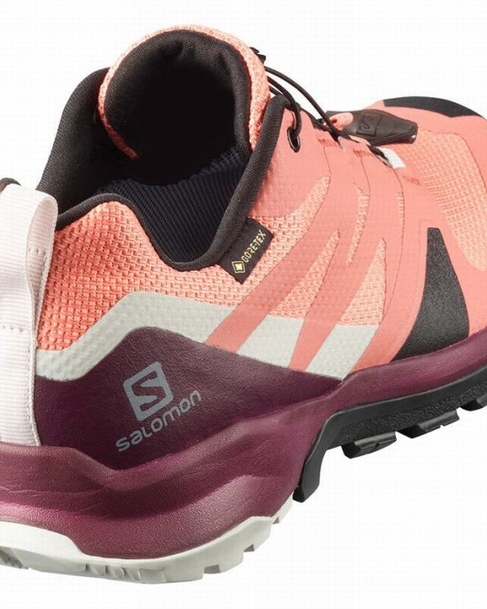 Salomon Xa Rogg Gtx W Trail Running Shoes Coral/Black Women