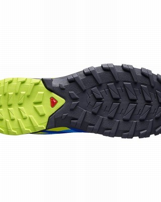 Salomon Xa Rogg Hiking Shoes Indigo/Black Men